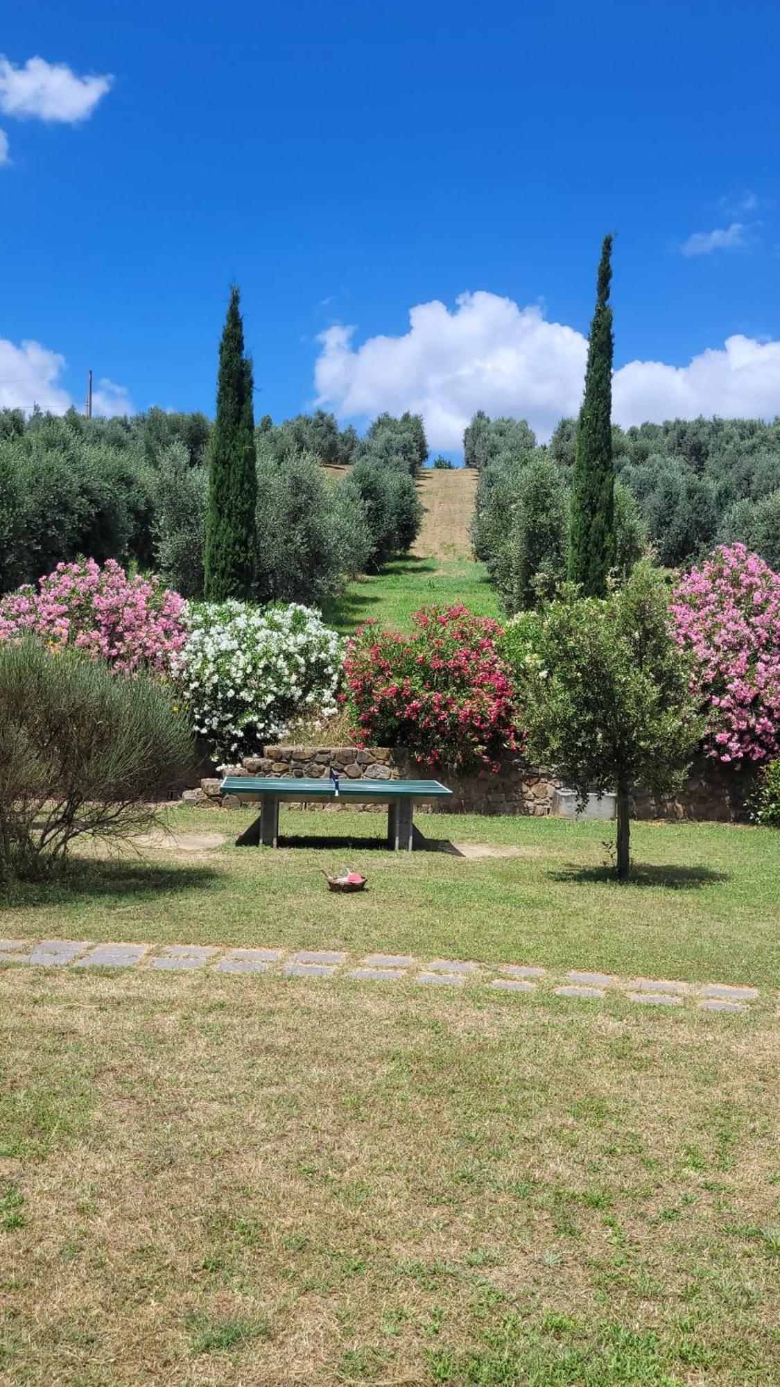 Agriturismo Podere Casalone Limite Dış mekan fotoğraf