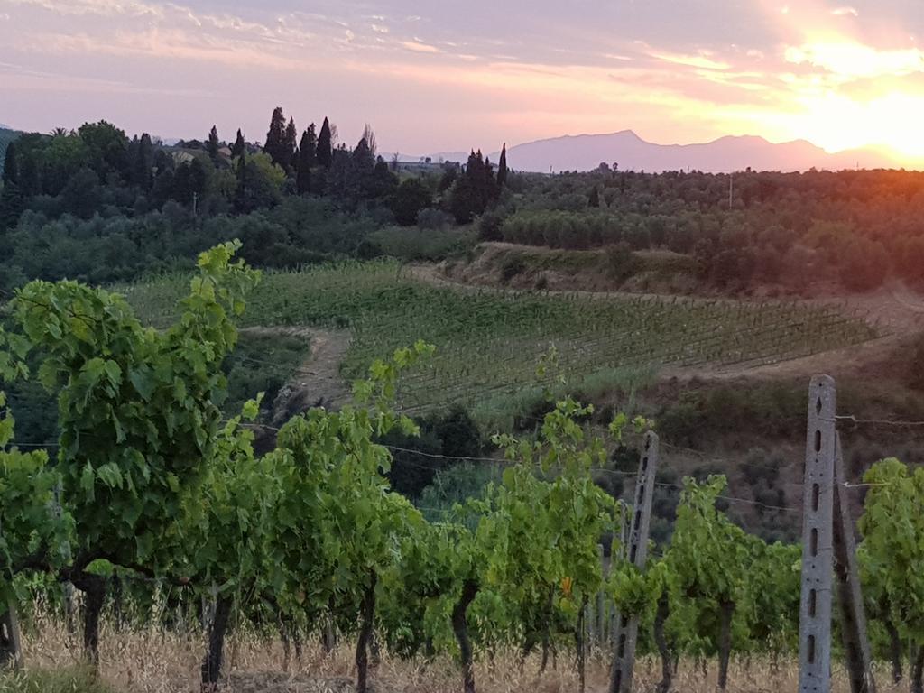 Agriturismo Podere Casalone Limite Dış mekan fotoğraf
